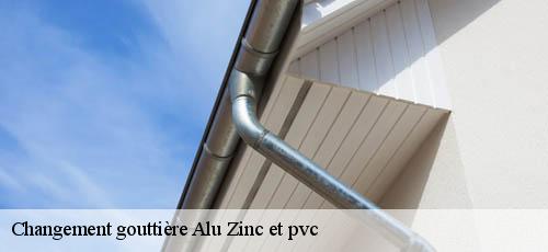 Changement gouttière Alu Zinc et pvc 94 Val-de-Marne  Bouverot Jean Michel