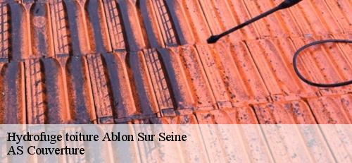 Hydrofuge toiture  ablon-sur-seine-94480 AS Couverture