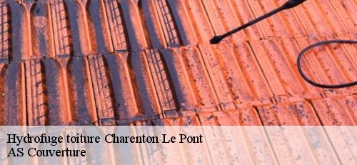 Hydrofuge toiture  charenton-le-pont-94220 AS Couverture