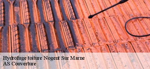 Hydrofuge toiture  nogent-sur-marne-94130 AS Couverture