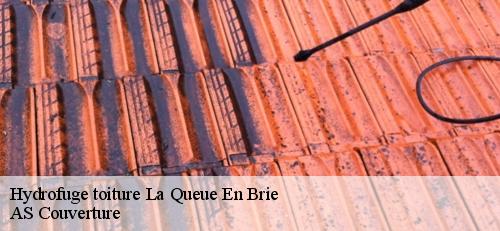 Hydrofuge toiture  la-queue-en-brie-94510 AS Couverture