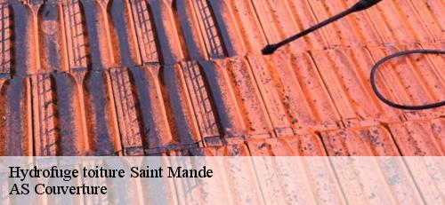 Hydrofuge toiture  saint-mande-94160 AS Couverture