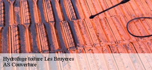 Hydrofuge toiture  les-bruyeres-94370 AS Couverture