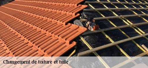 Changement de toiture et tuile  ablon-sur-seine-94480 AS Couverture