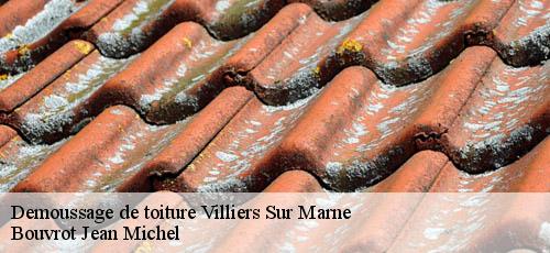 Demoussage de toiture  villiers-sur-marne-94350 Bouverot Jean Michel