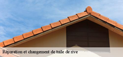 Réparation et changement de tuile de rive   alfortville-94140 AS Couverture