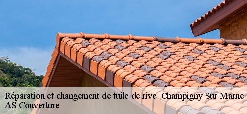 Réparation et changement de tuile de rive   champigny-sur-marne-94500 AS Couverture