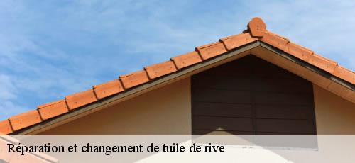 Réparation et changement de tuile de rive   chennevieres-sur-marne-94430 Bouverot Jean Michel