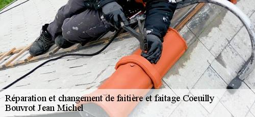 Réparation et changement de faitière et faitage  coeuilly-94500 Bouverot Jean Michel