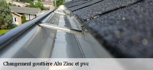 Changement gouttière Alu Zinc et pvc  arcueil-94110 AS Couverture