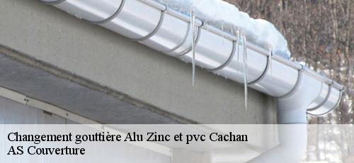 Changement gouttière Alu Zinc et pvc  cachan-94230 AS Couverture