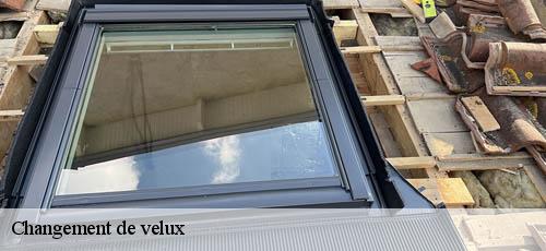 Changement de velux  cachan-94230 Bouverot Jean Michel