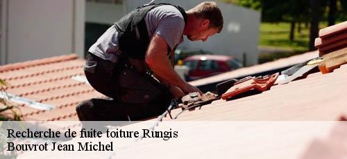 Recherche de fuite toiture  rungis-94150 Bouverot Jean Michel