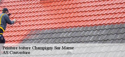 Peinture toiture  champigny-sur-marne-94500 AS Couverture