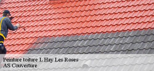 Peinture toiture  l-hay-les-roses-94240 AS Couverture