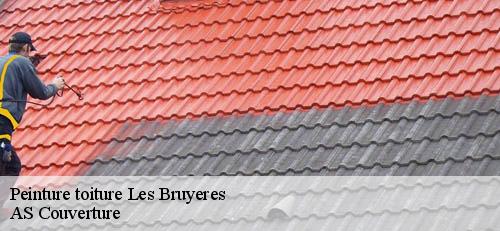 Peinture toiture  les-bruyeres-94370 AS Couverture